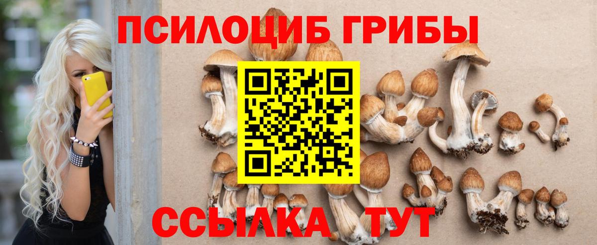 Галлюциногенные грибы Psilocybe  Галлюциногенные грибы MAGIC MUSHROOMS  Вход с VPN  Нефтекамск 