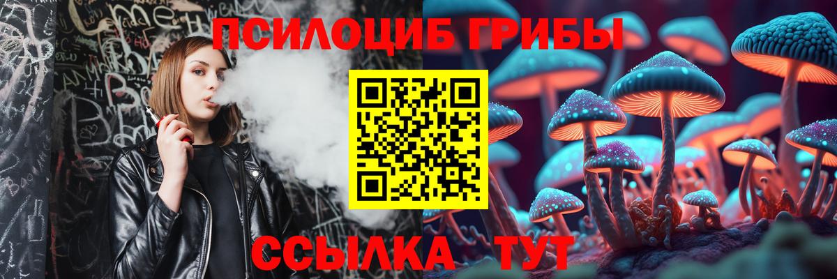 Псилоцибиновые грибы Psilocybe Нефтекамск