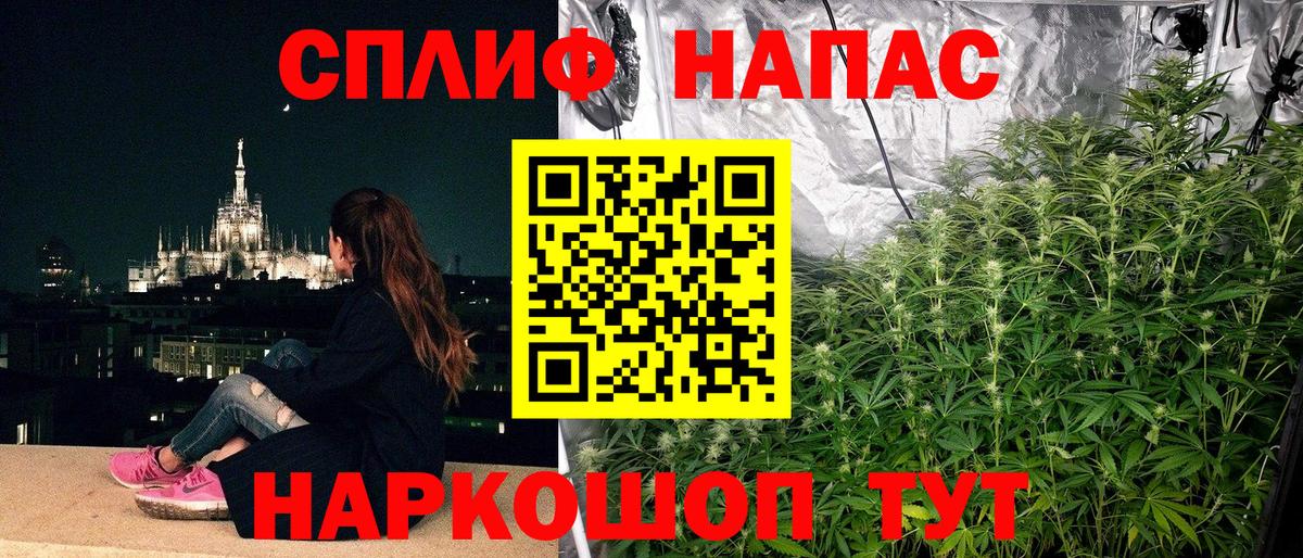 Марихуана конопля  Вход с VPN  Каннабис White Widow  Конопля гибрид  Нефтекамск  Конопля Bruce Banner 